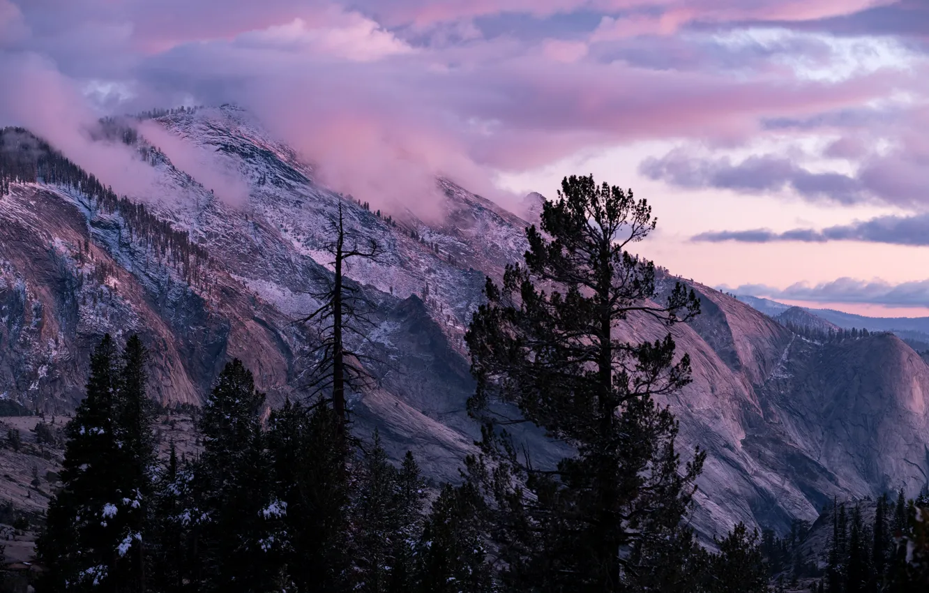 Photo wallpaper winter, the sky, clouds, snow, trees, sunset, mountains, nature