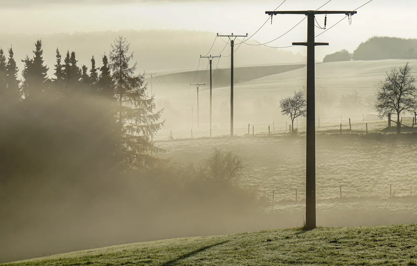 Photo wallpaper fog, morning, power lines