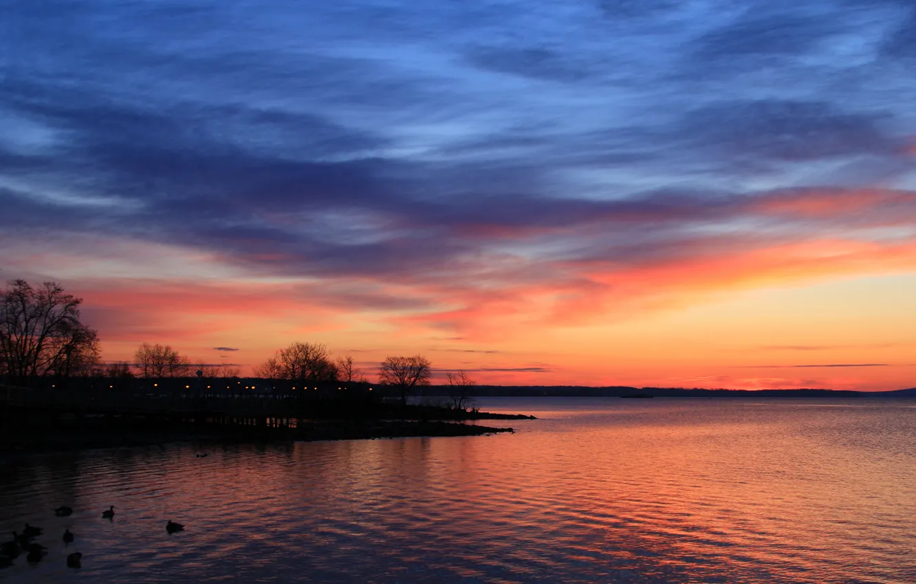 Photo wallpaper the sky, clouds, trees, sunset, birds, lake, shore, duck