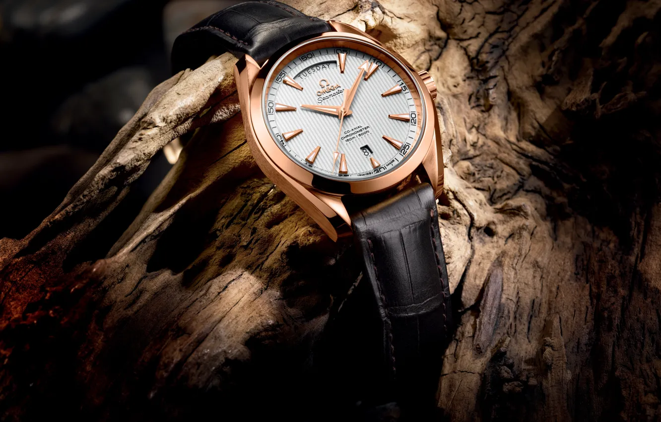 Photo wallpaper watch, Omega, 2013 - The Seamaster Aqua Terra Day-Date, BASELWORLD