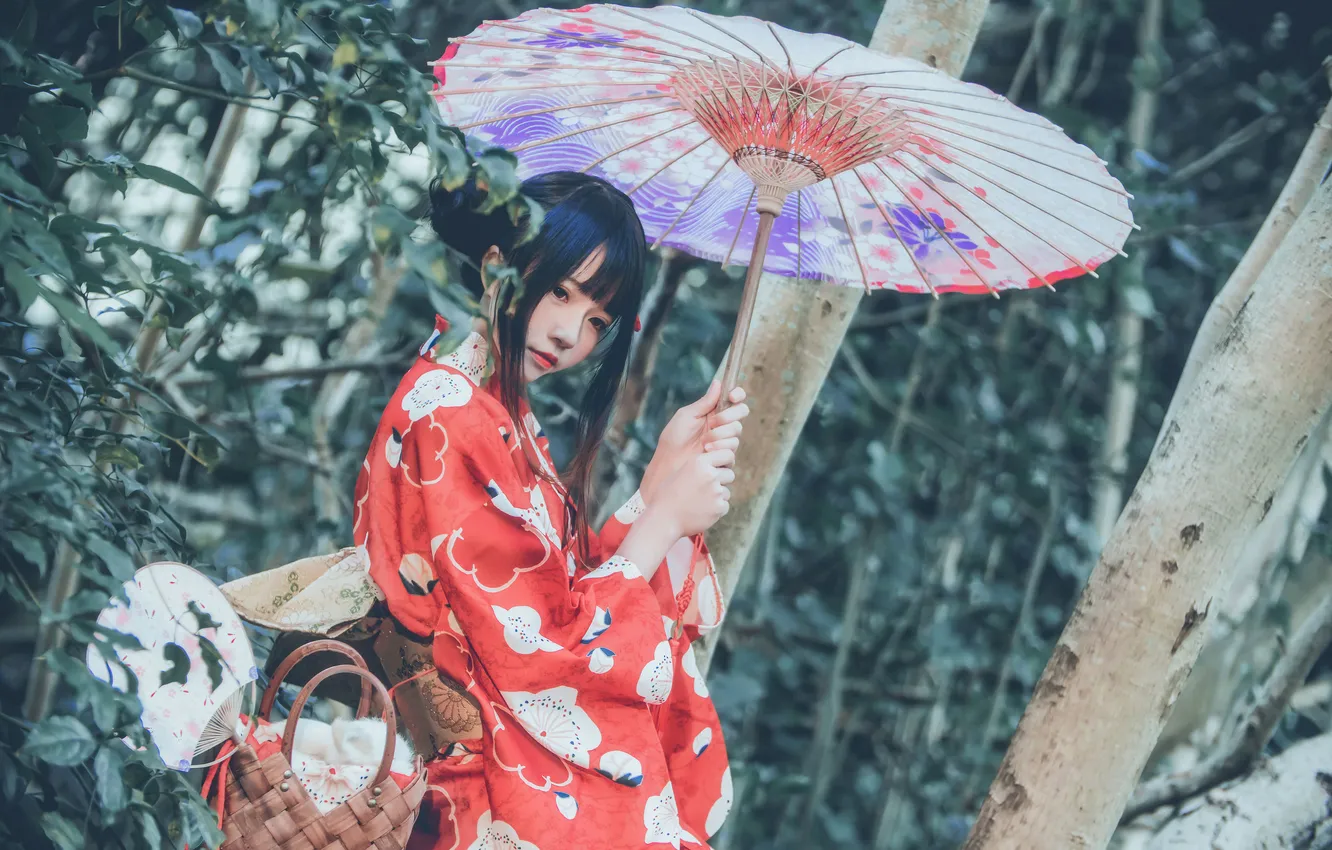 Photo wallpaper trees, pose, umbrella, basket, model, kimono, Asian, beauty