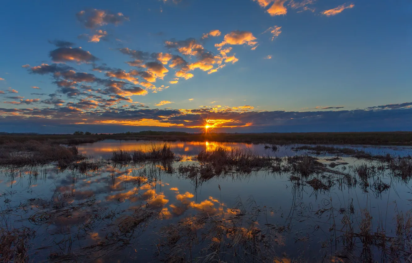Photo wallpaper sunset, swamp, South Ural