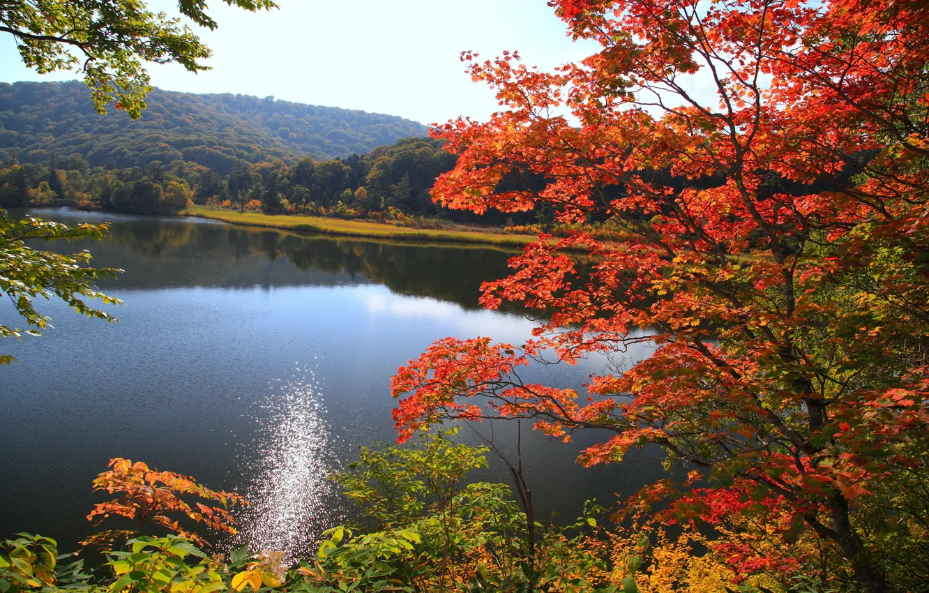 Photo wallpaper autumn, forest, the sky, leaves, trees, mountains, lake