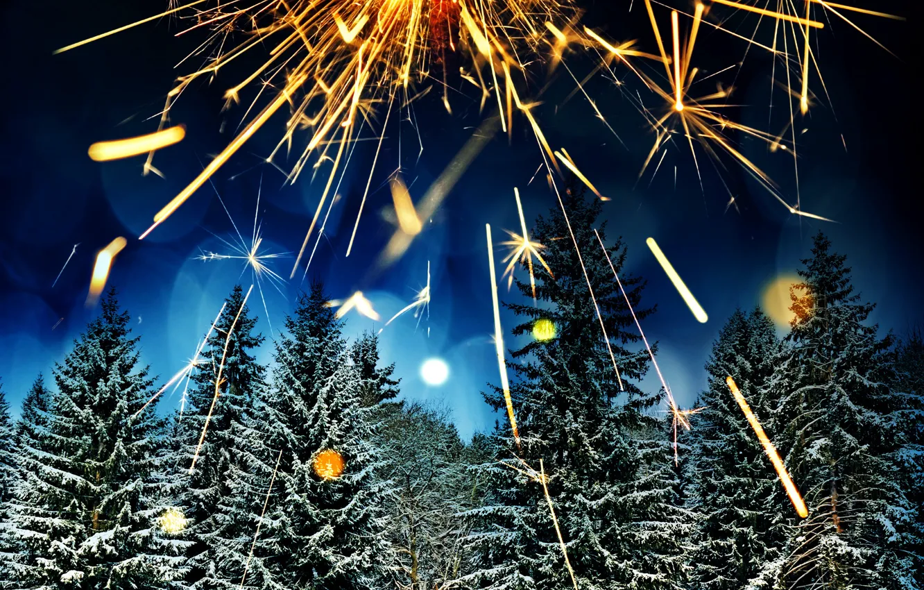 Photo wallpaper winter, forest, snow, trees, night, lights, glare, holiday