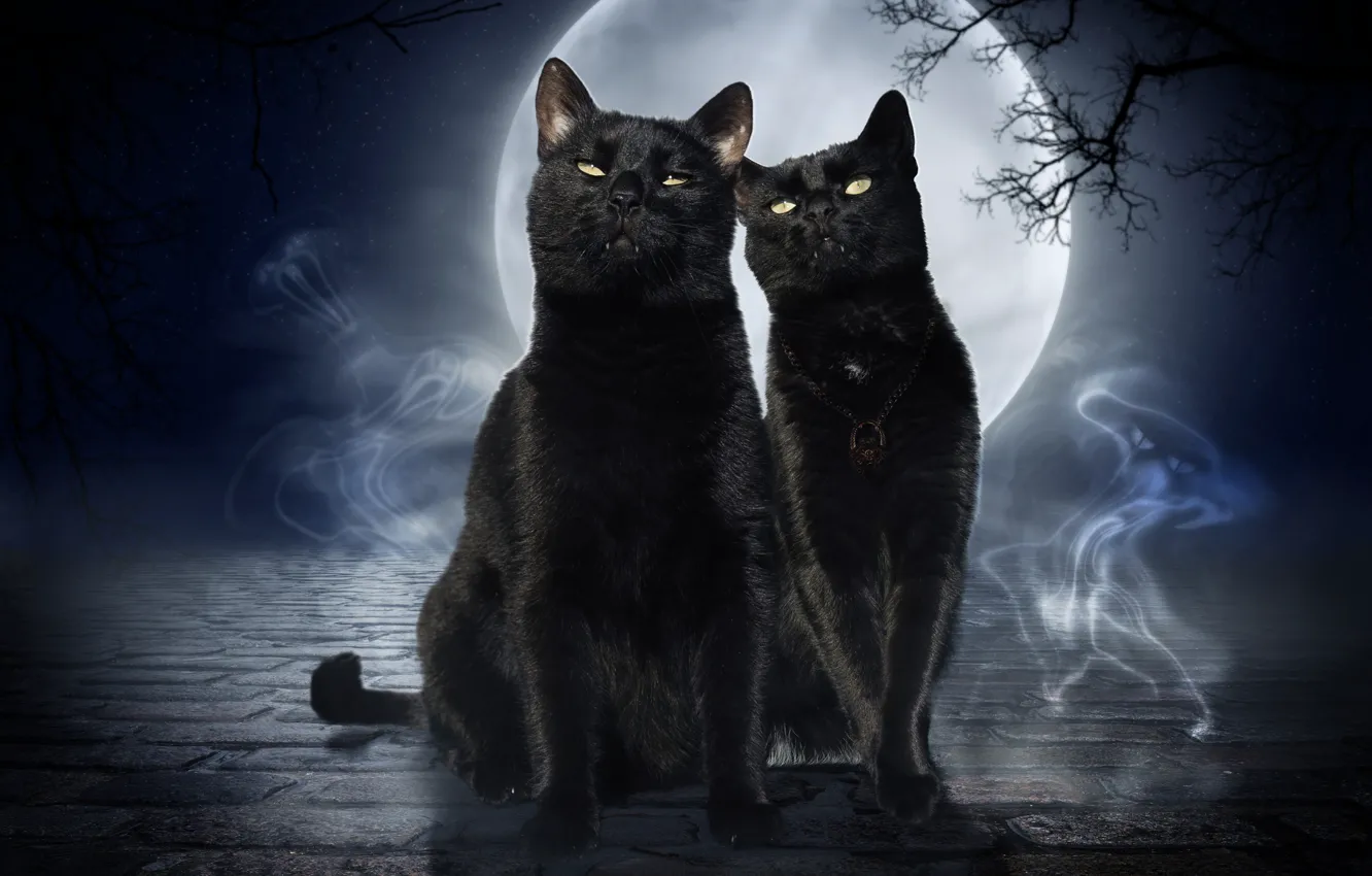 Photo wallpaper cats, night, rendering, black, the moon, cats, art, ghosts