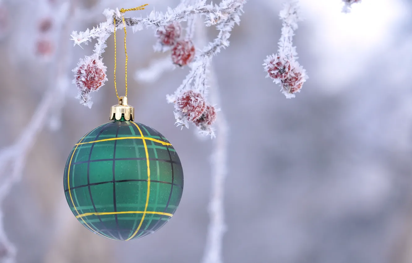 Photo wallpaper frost, toy, new year, ball, Christmas, branch, fruit, decoration