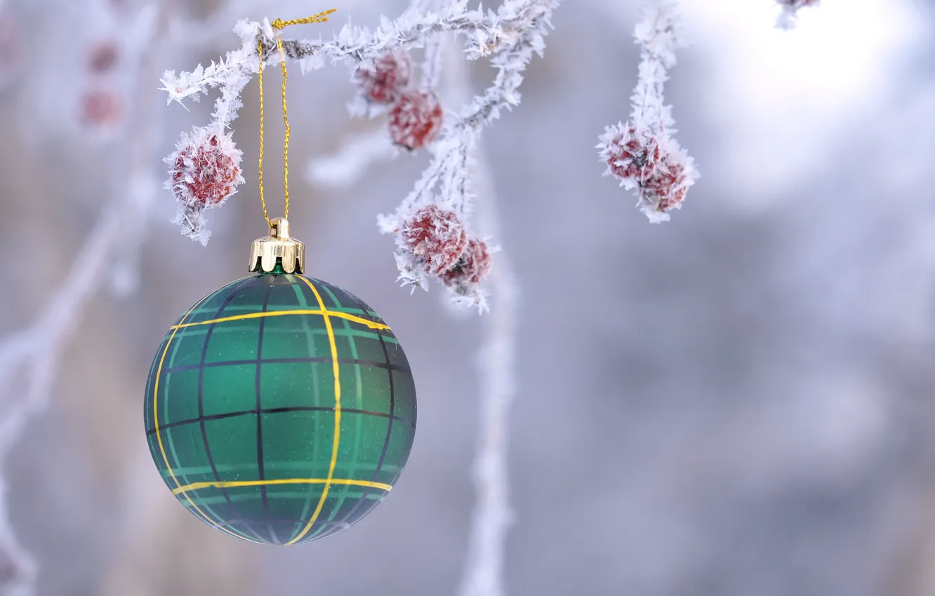 Photo wallpaper frost, decoration, branches, balls, toy, new year, fruit, Christmas