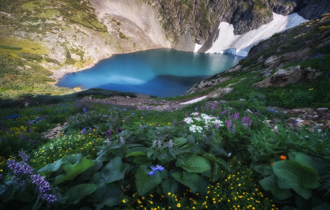 Photo wallpaper snow, landscape, flowers, mountains, nature, lake, slope, Altay