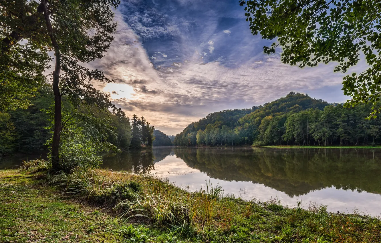 Photo wallpaper forest, trees, lake, Croatia, Trakoscan