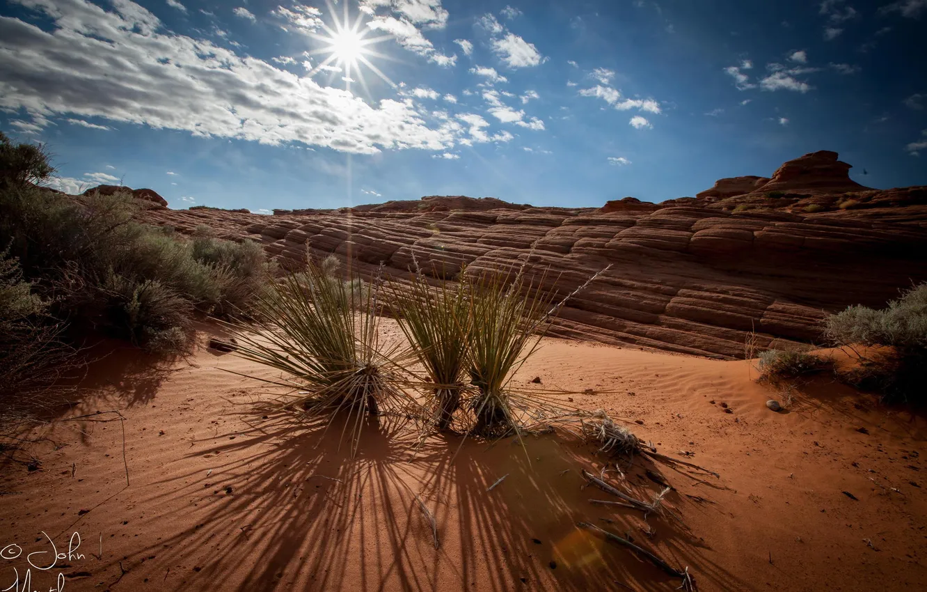 Photo wallpaper grass, rocks, desert, canyon