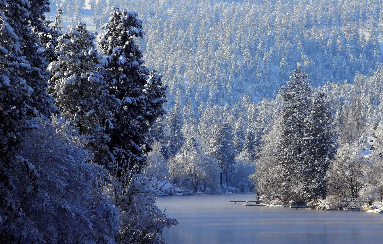 Photo wallpaper winter, frost, forest, snow, trees, river, ice