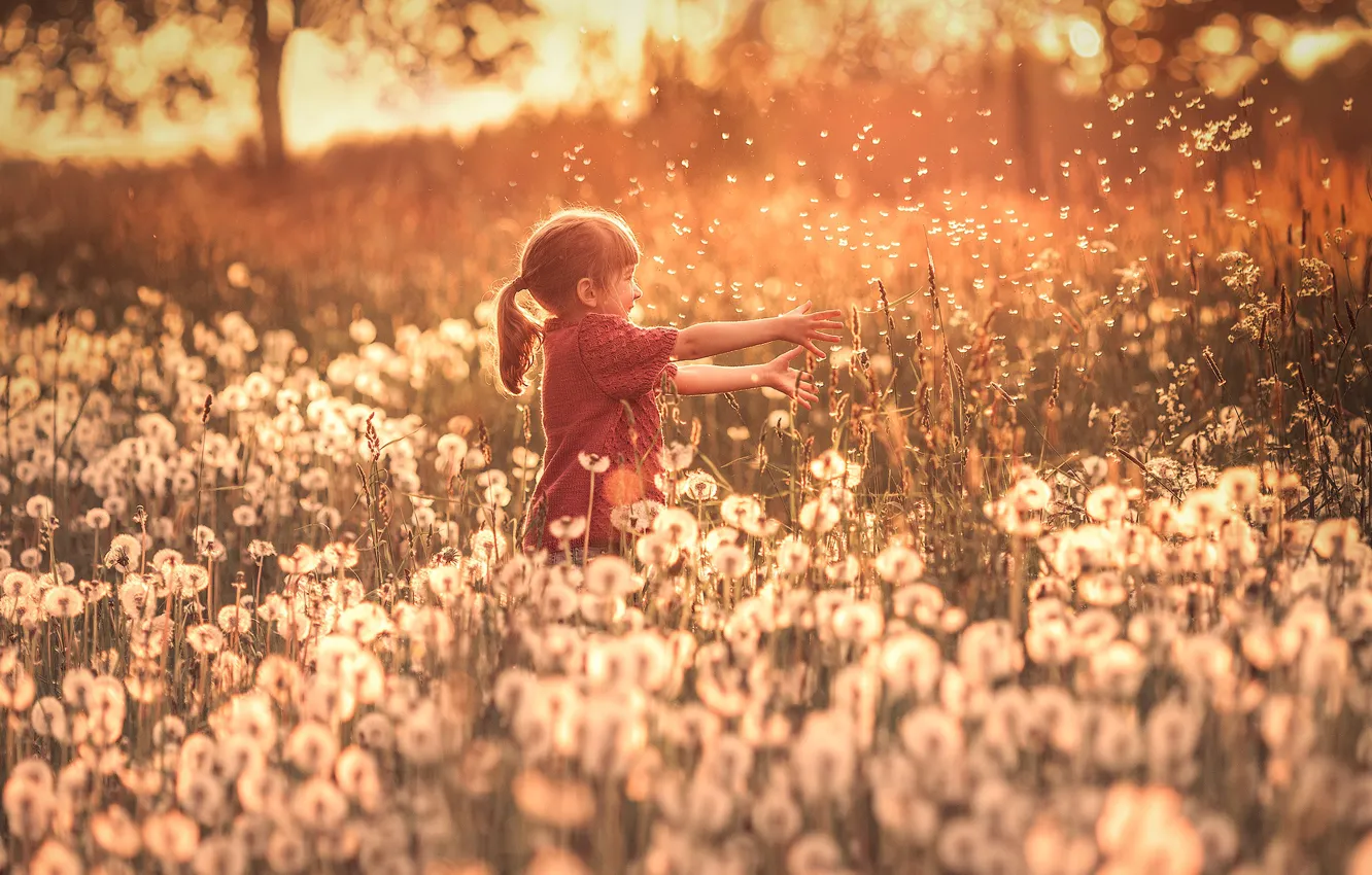 Photo wallpaper flowers, dandelion, girl