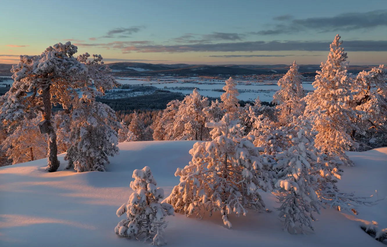 Photo wallpaper winter, forest, Finland, Finland, Lapland, Ylitornio