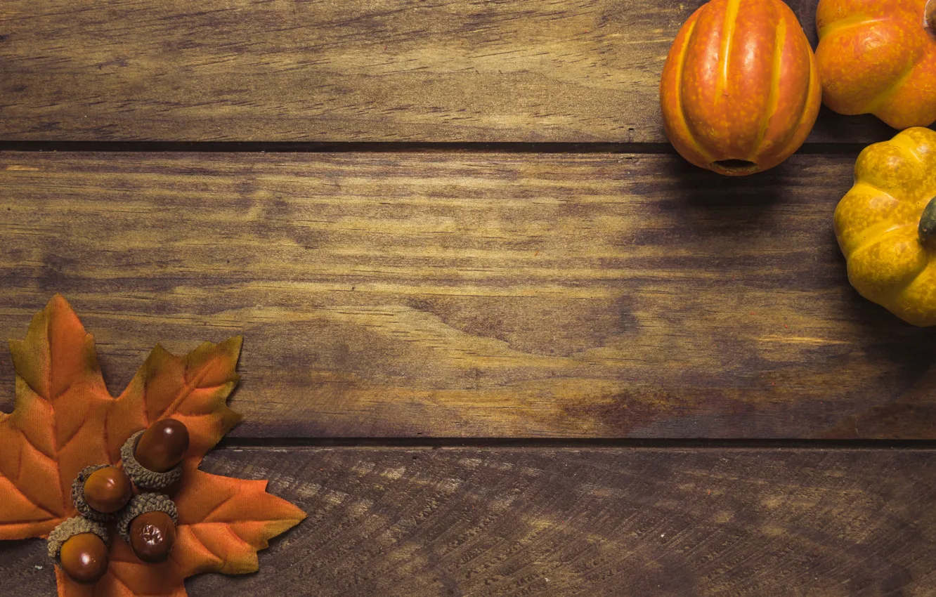 Photo wallpaper autumn, leaves, trees, background, Board, colorful, pumpkin, maple
