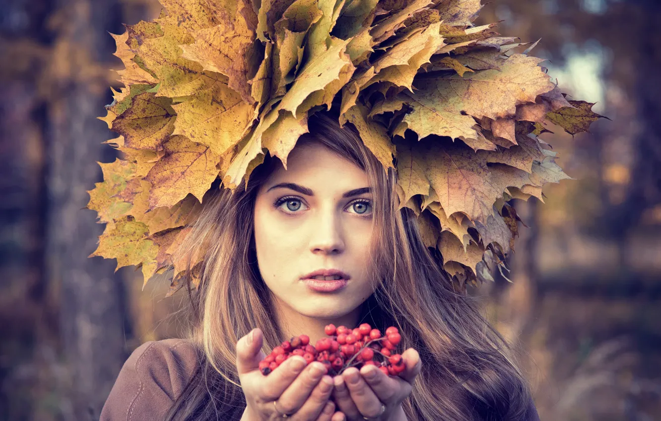 Photo wallpaper autumn, leaves, berries, portrait, Rowan