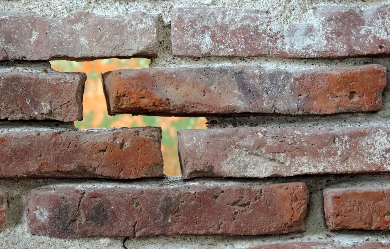 Photo wallpaper background, wall, texture