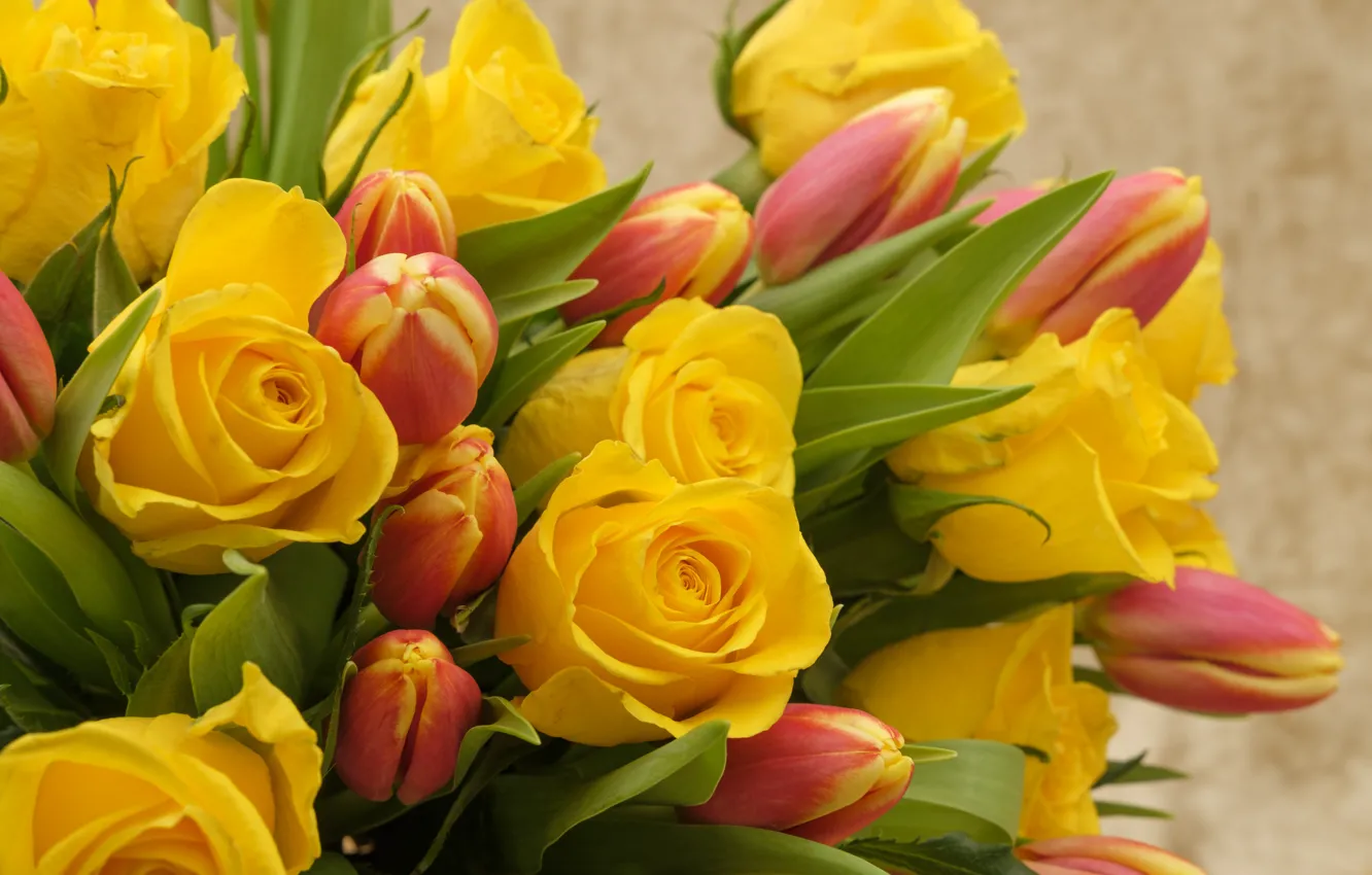 Photo wallpaper flowers, roses, bouquet, yellow, tulips