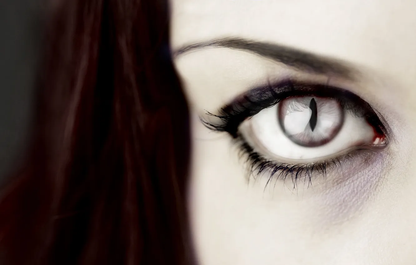 Photo wallpaper eyes, eyelashes, eyebrows, sracek
