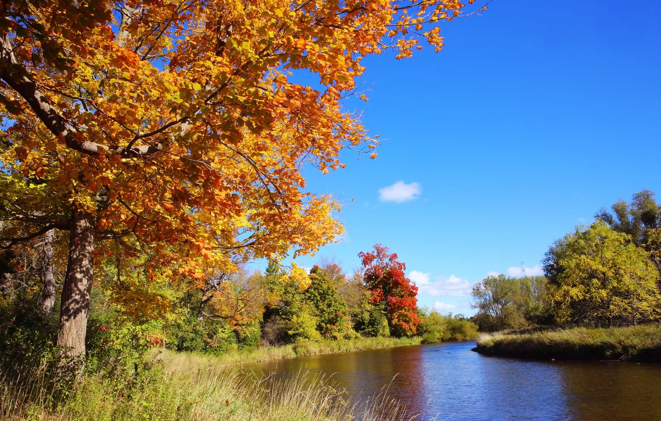 Photo wallpaper autumn, trees, river, Canada, Ontario, district MISSISSAUGA