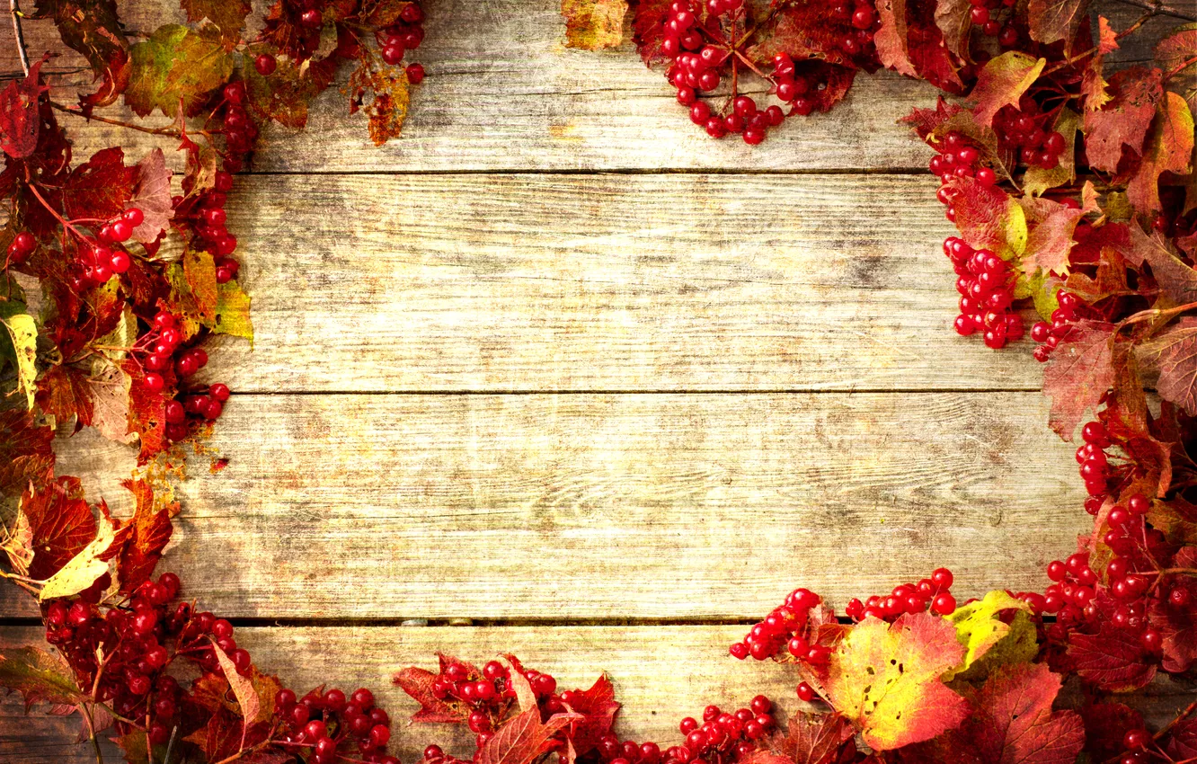 Photo wallpaper autumn, leaves, autumn, leaves, twigs of viburnum, twigs of viburnum