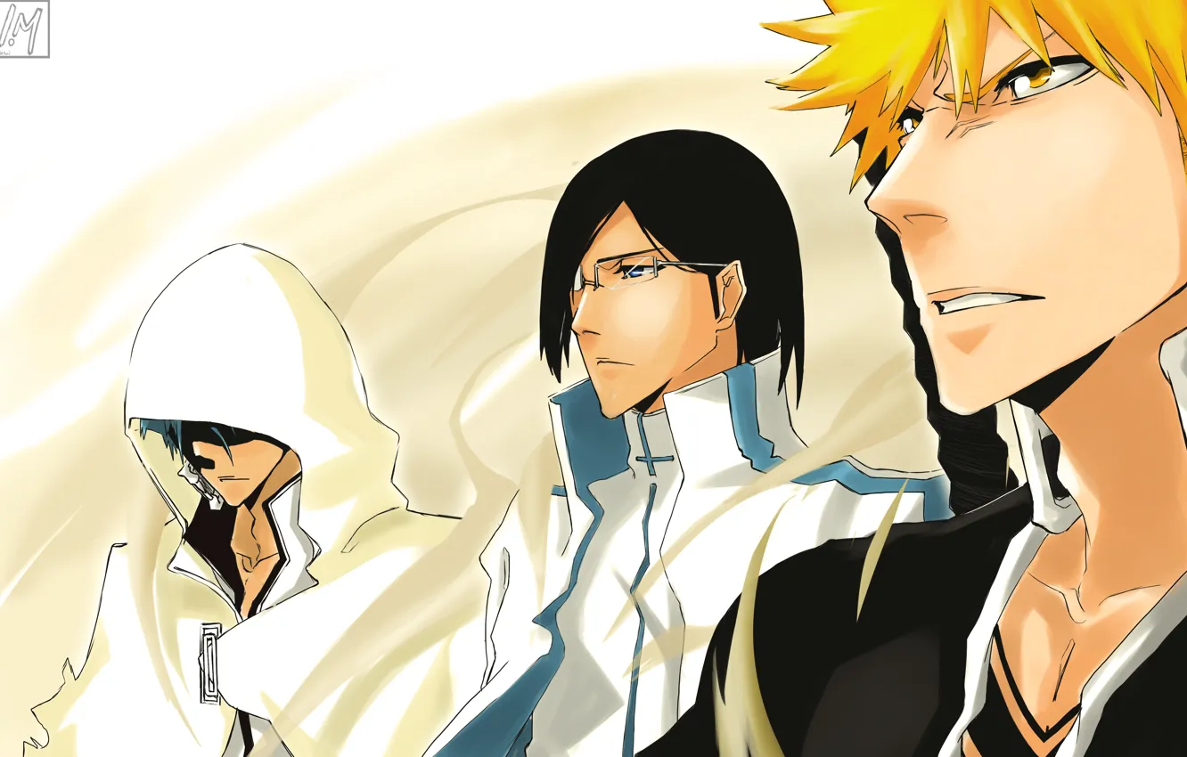 Photo wallpaper bleach, Ichigo Kurosaki, anime, art, Shinigami, Grimmjow Jaegerjaquez