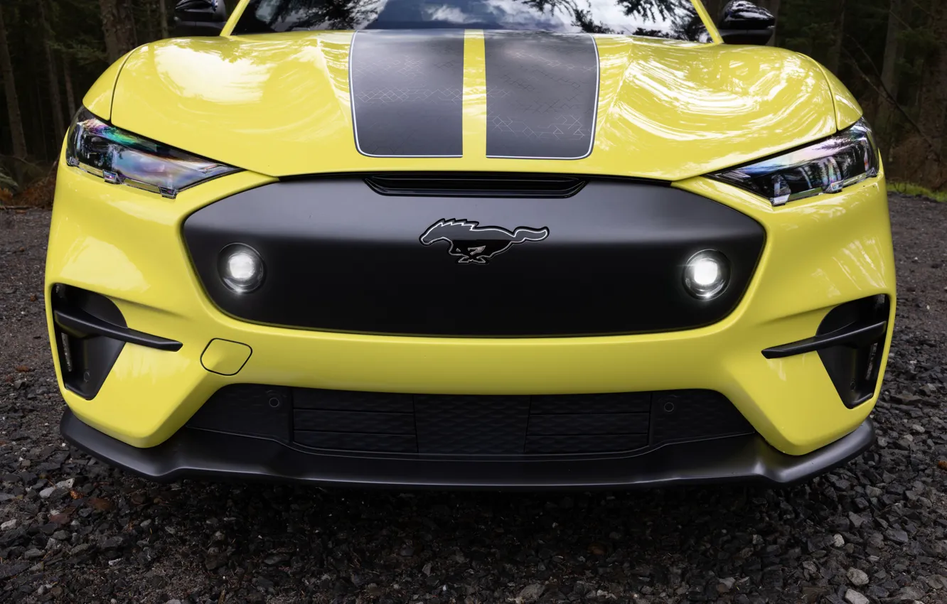 Photo wallpaper Mustang, Ford, Mach-E, Ford Mustang Mach-E Rally