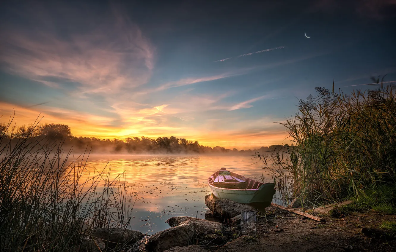 Photo wallpaper grass, landscape, nature, fog, lake, boat, morning