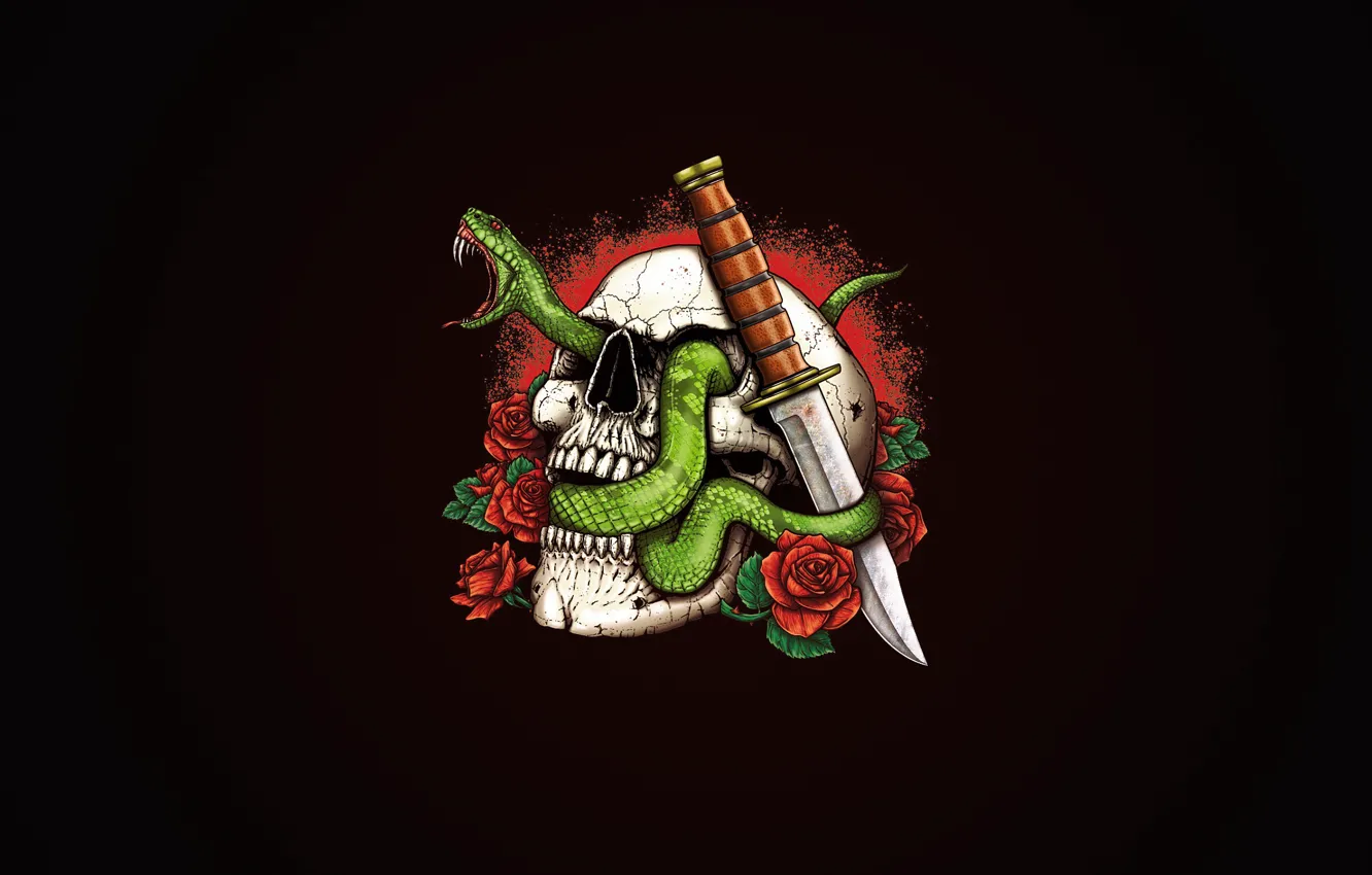 Photo wallpaper snake, skull, knife, background, roses, flowers, Snake, Minimalism