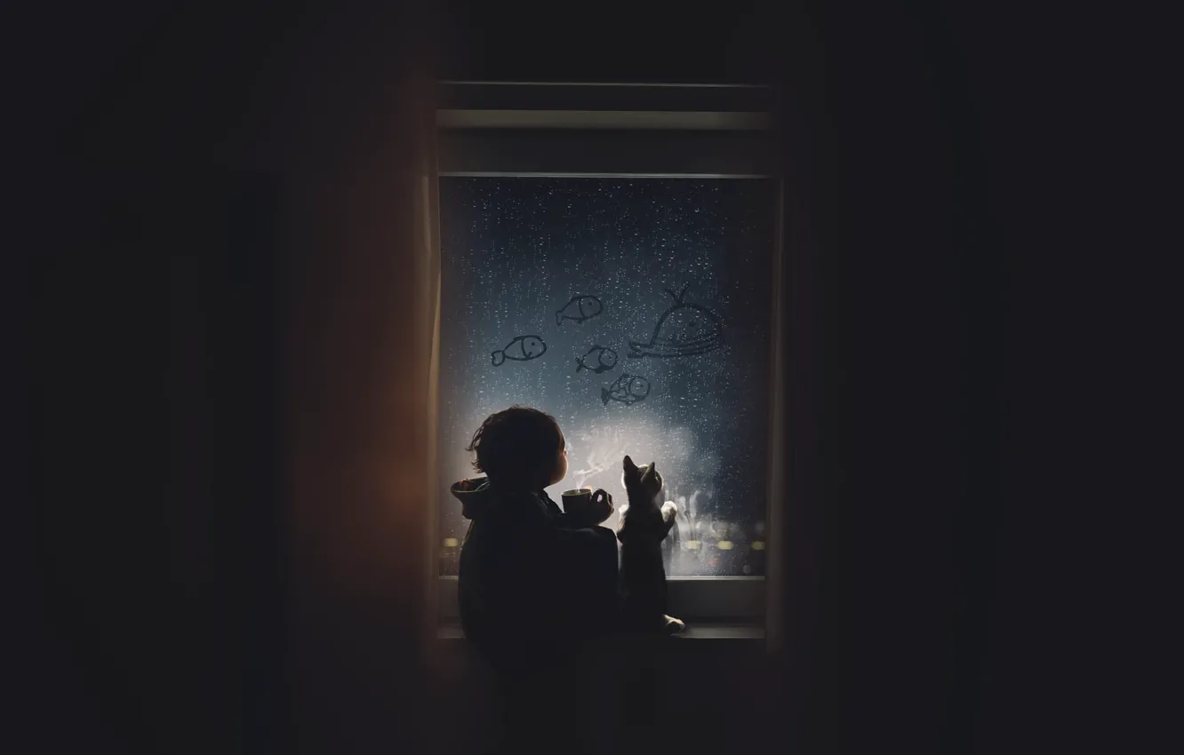 Photo wallpaper cat, glass, drops, light, fish, night, comfort, darkness