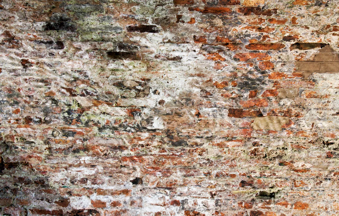 Photo wallpaper background, wall, texture, bricks