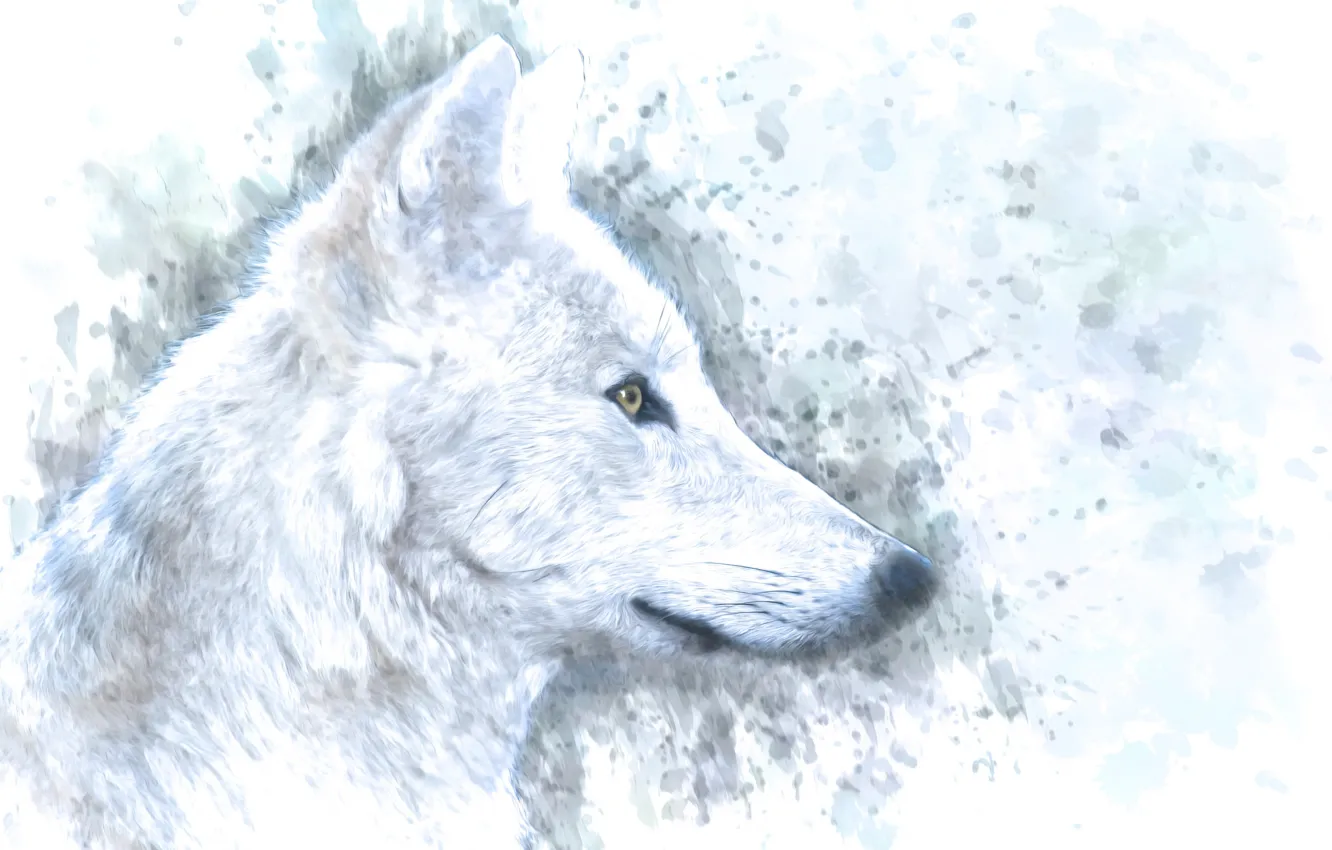 Photo wallpaper white, background, wolf, profile