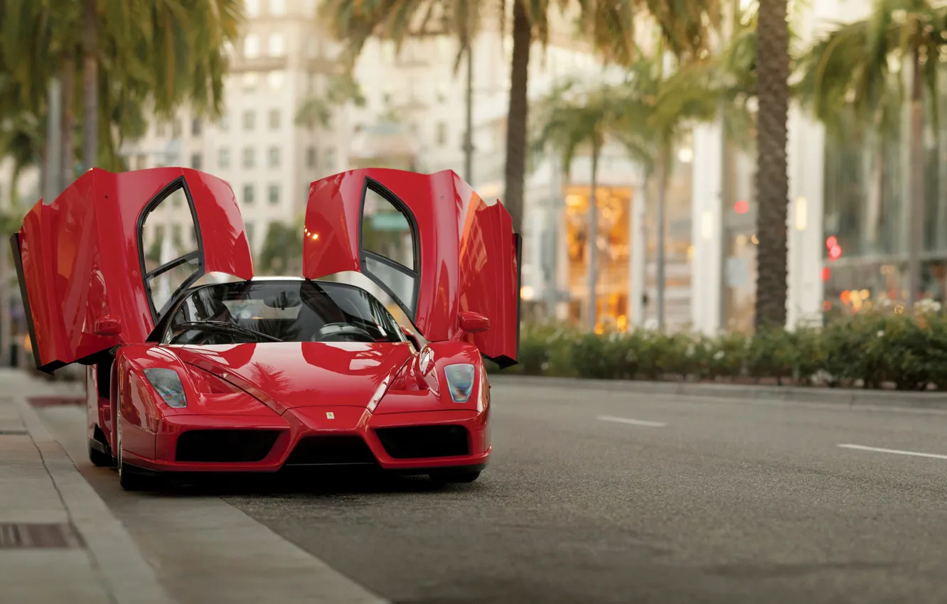 Photo wallpaper Ferrari, supercar, legend, Ferrari Enzo, Enzo, the front