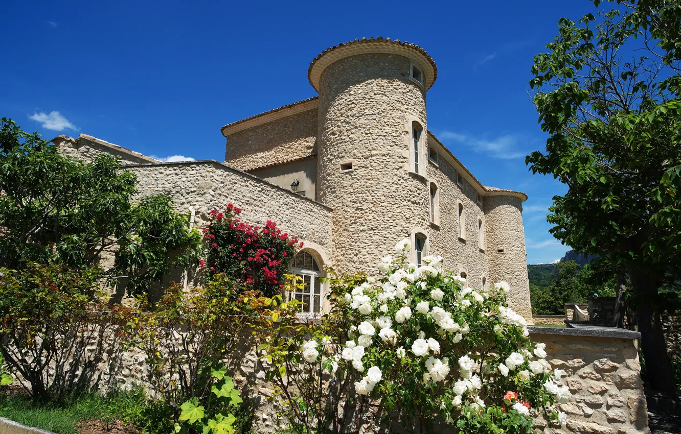 Photo wallpaper summer, the sky, the sun, trees, flowers, castle, France, the bushes