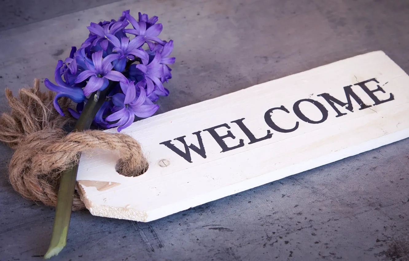 Photo wallpaper flowers, sprig, background, the inscription, plate, composition, hyacinths, welcome