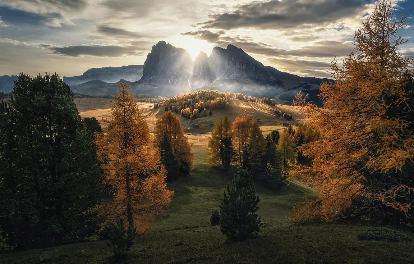 Photo wallpaper autumn, forest, the sun, clouds, rays, mountains, hills, view