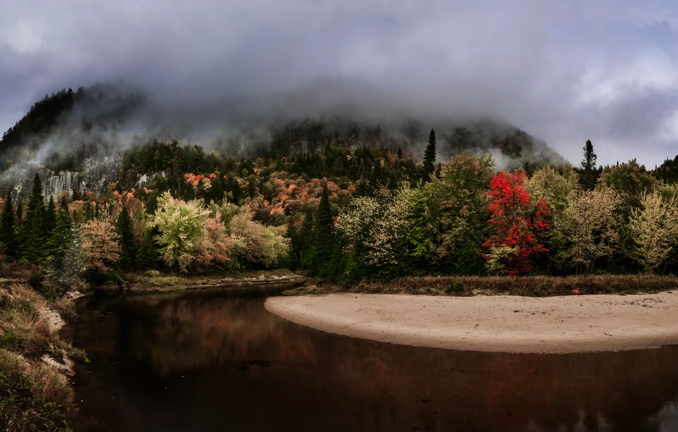 Photo wallpaper forest, trees, fog, river, Canada, Quebec