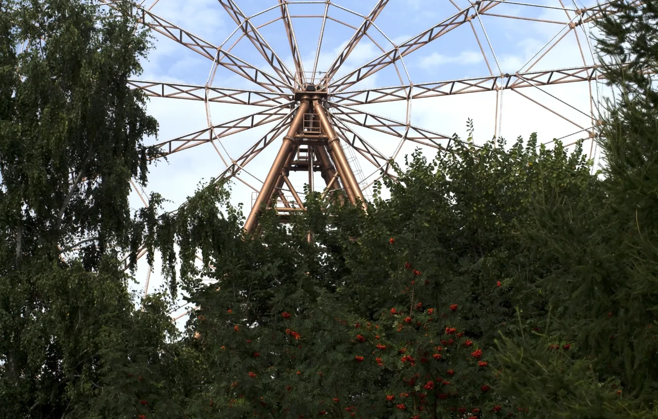 Photo wallpaper trees, Park, wheel, Rowan, farm