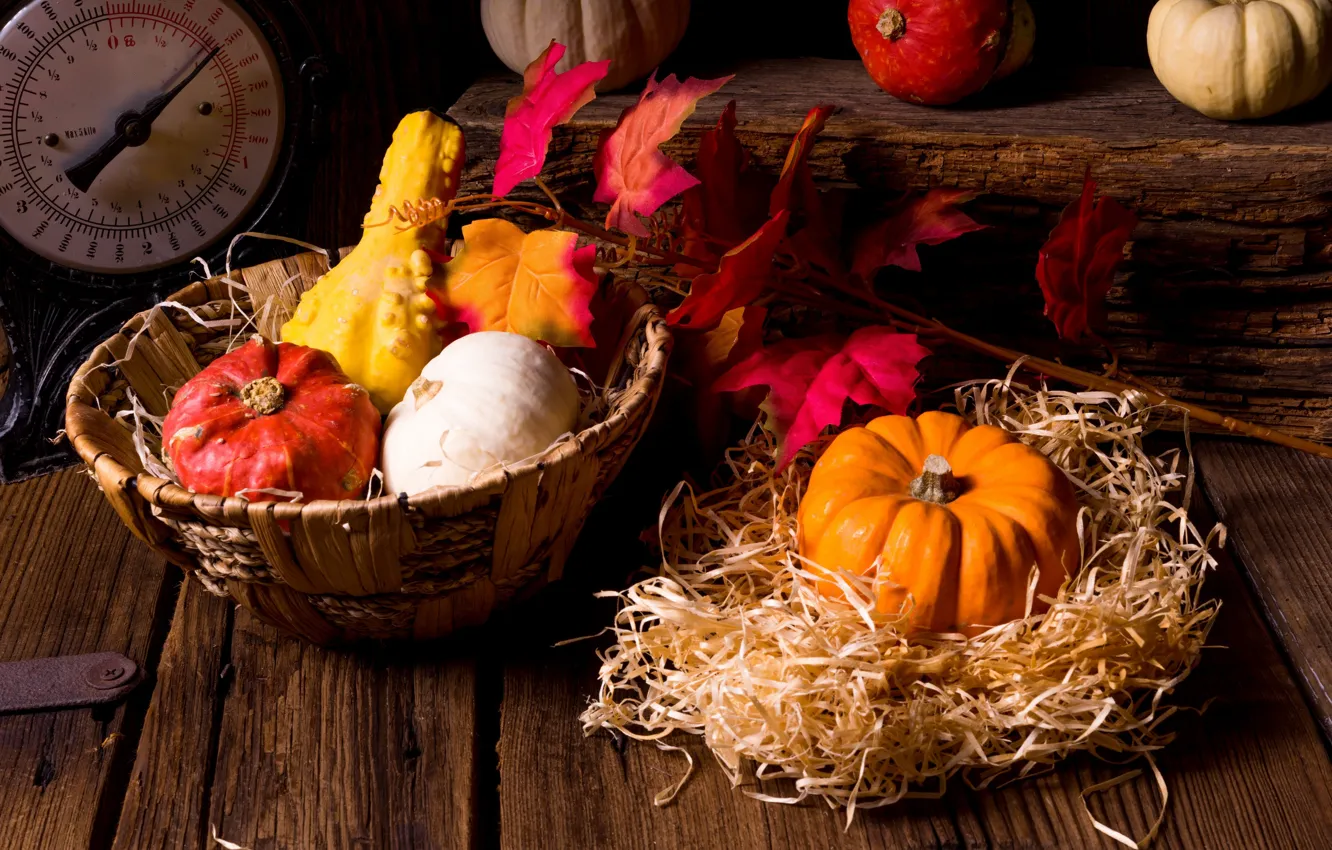 Photo wallpaper leaves, basket, pumpkin, straw, the gifts of autumn