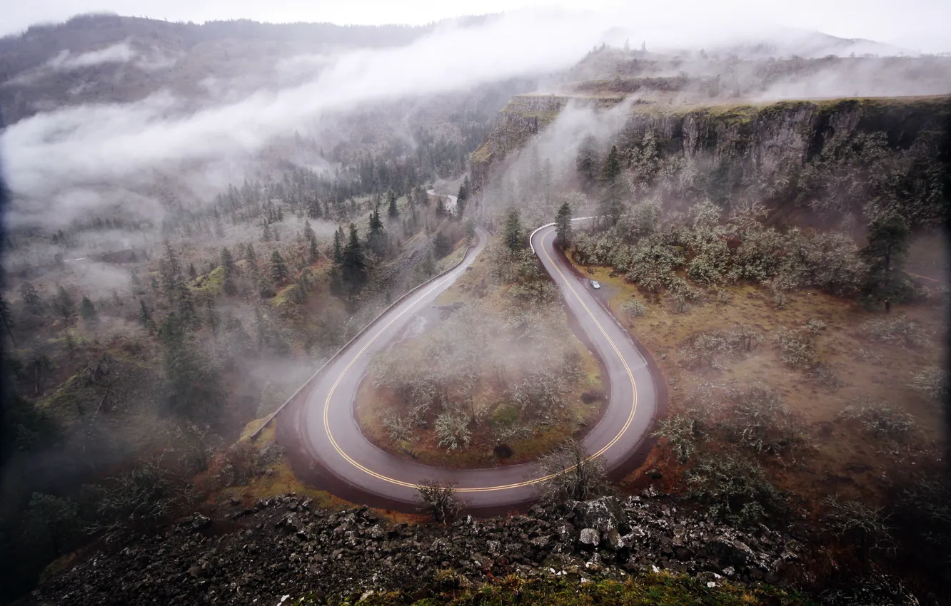 Photo wallpaper road, forest, trees, mountains, nature, fog, Oregon