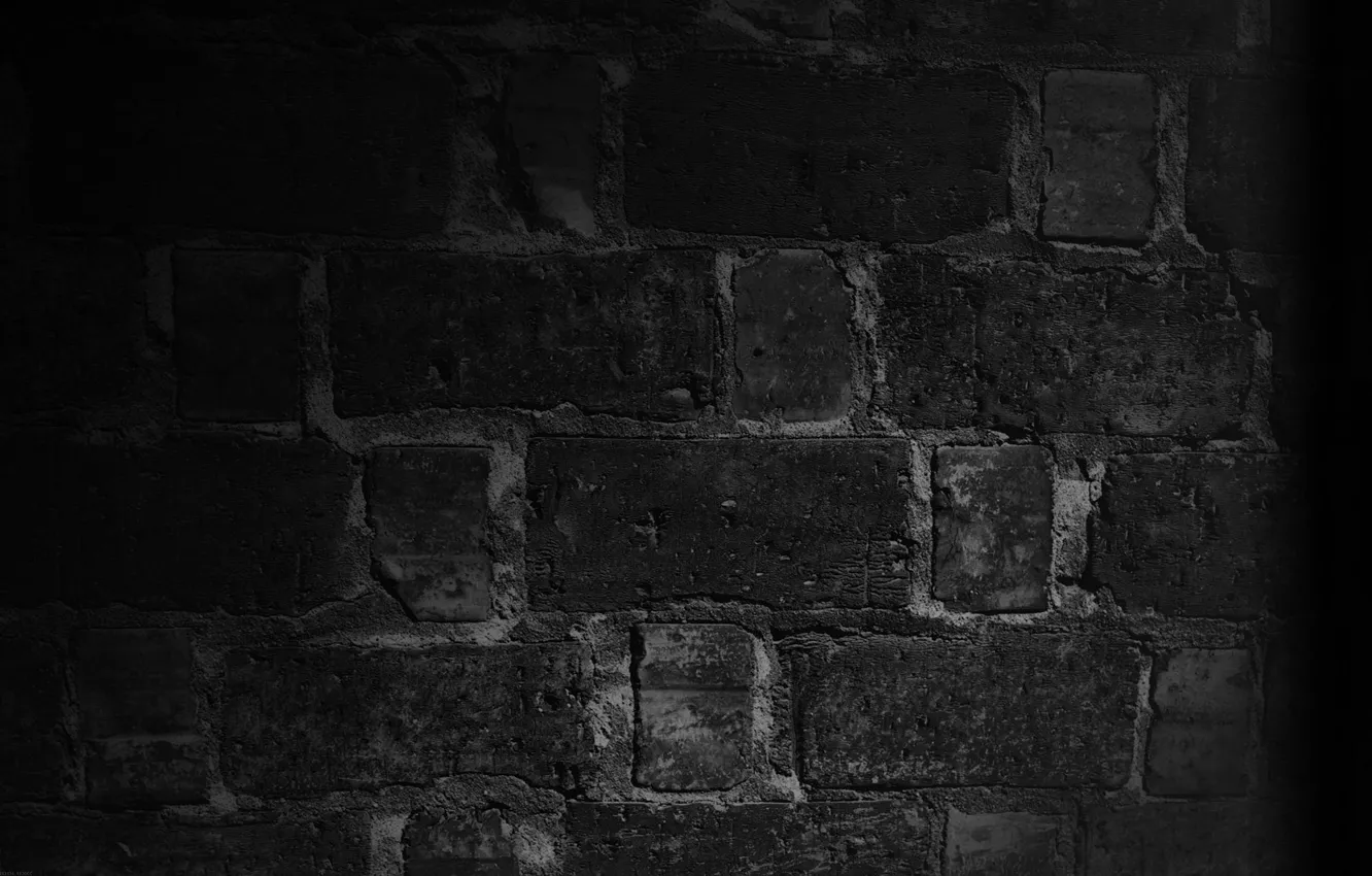 Photo wallpaper macro, night, wall, black, bricks
