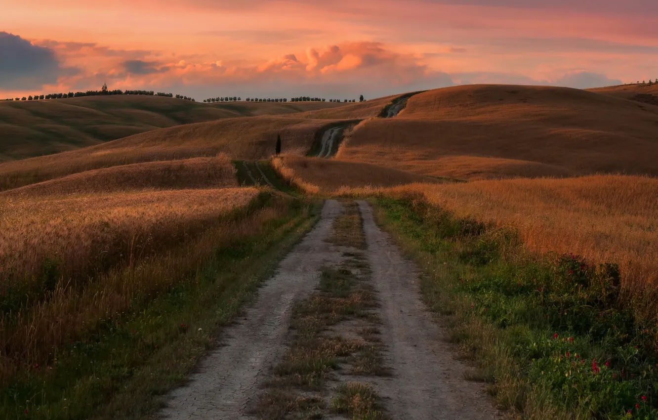 Photo wallpaper road, field, autumn, grass, clouds, light, nature, the way