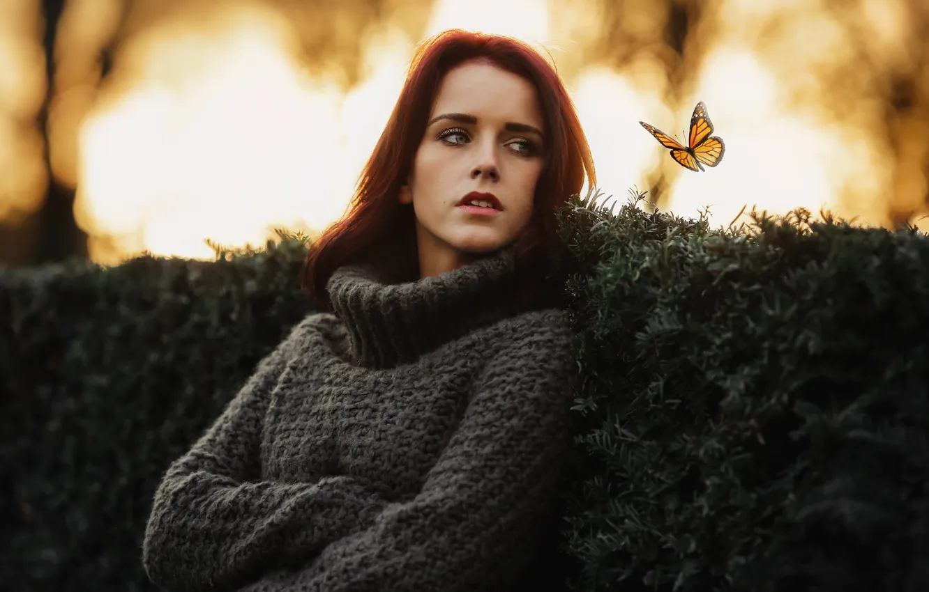 Photo wallpaper girl, face, background, butterfly