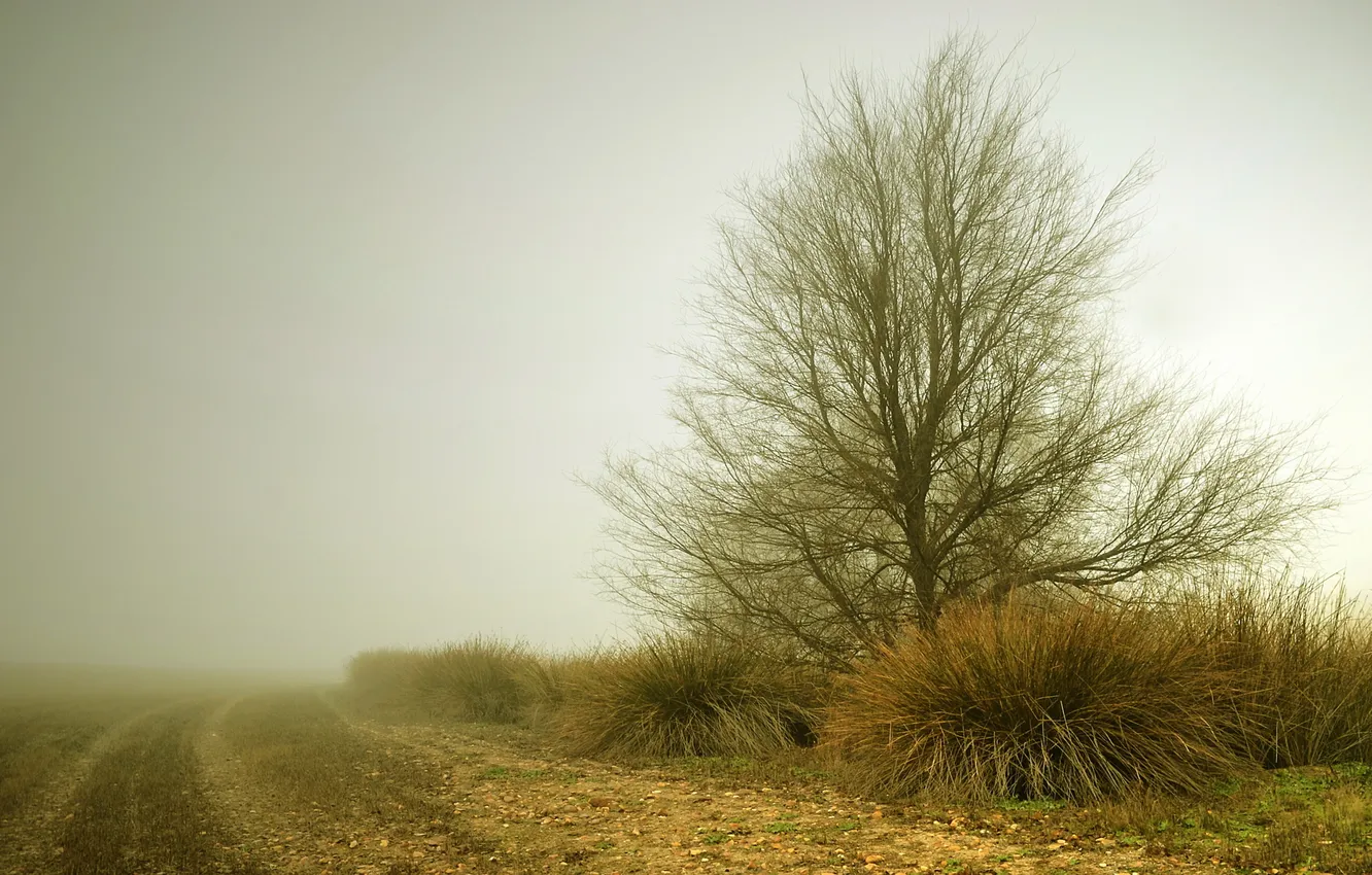 Photo wallpaper road, landscape, fog