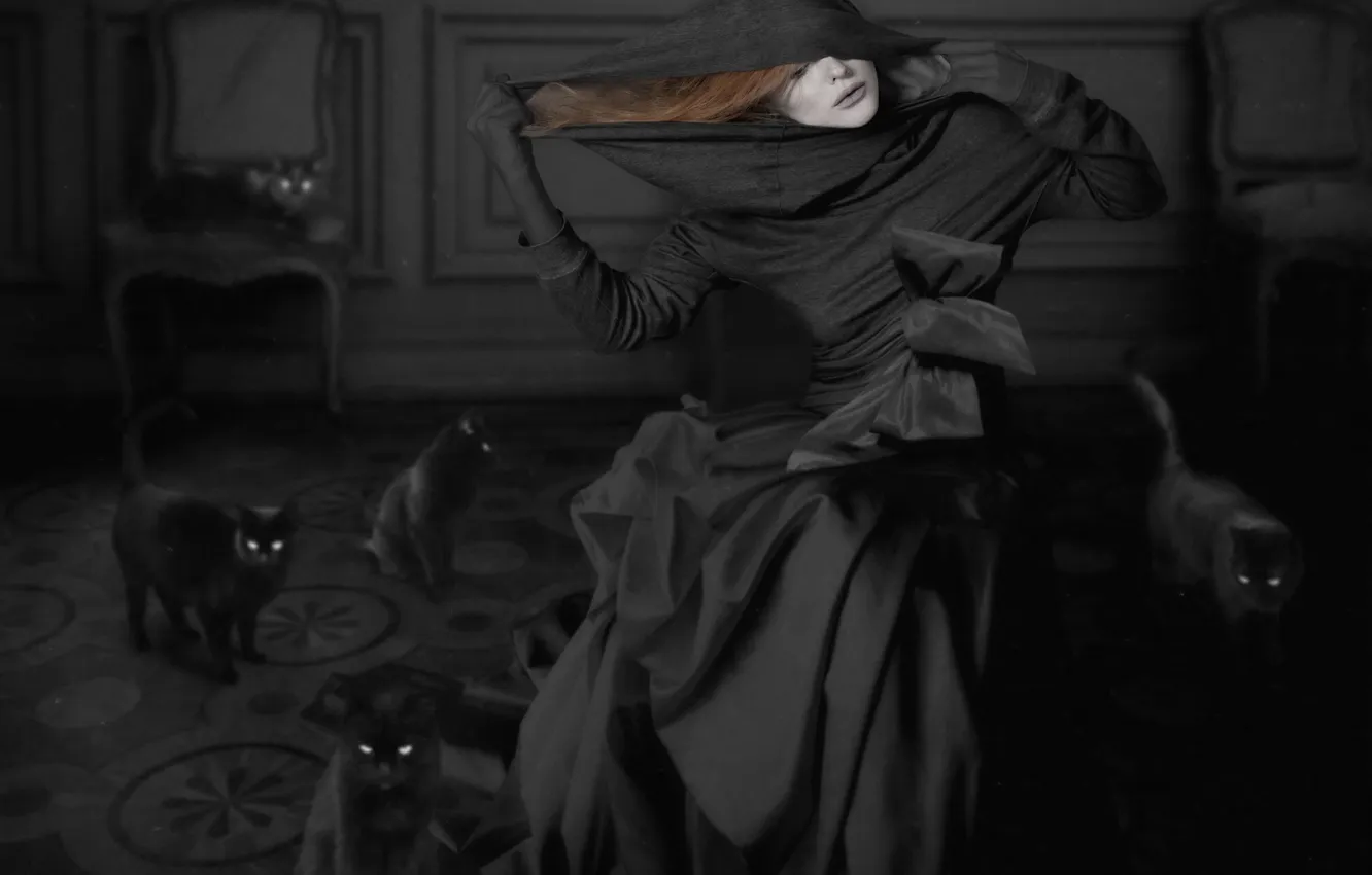 Photo wallpaper cat, girl, creative, redhead, mourning