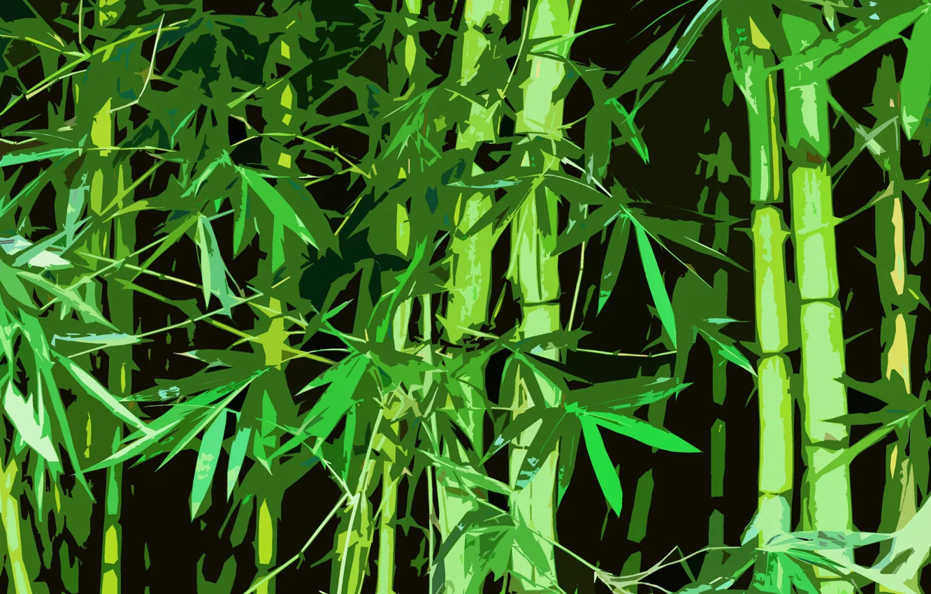 Photo wallpaper forest, China, Bamboo, China, Bamboo