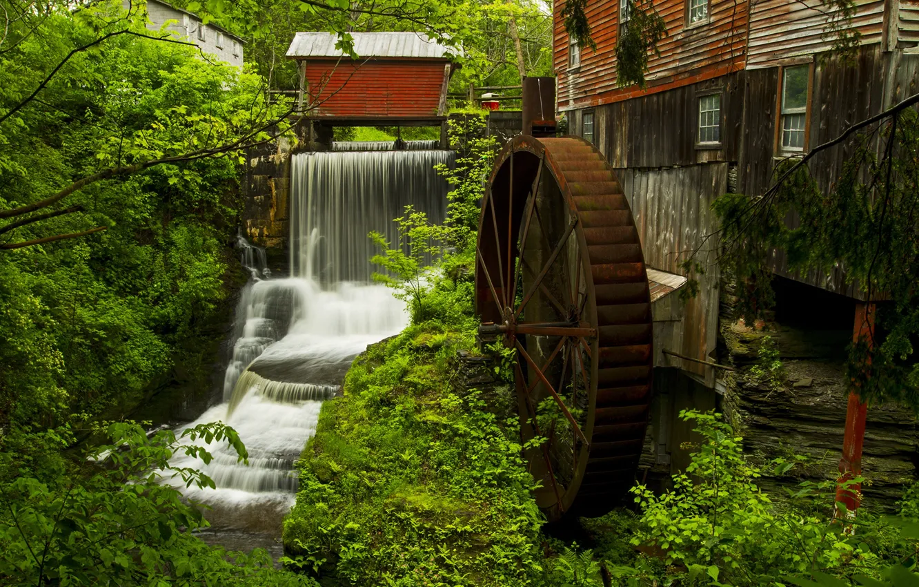Photo wallpaper water, trees, waterfall, wheel, house