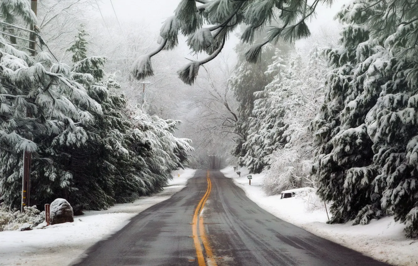 Photo wallpaper winter, road, forest, fog