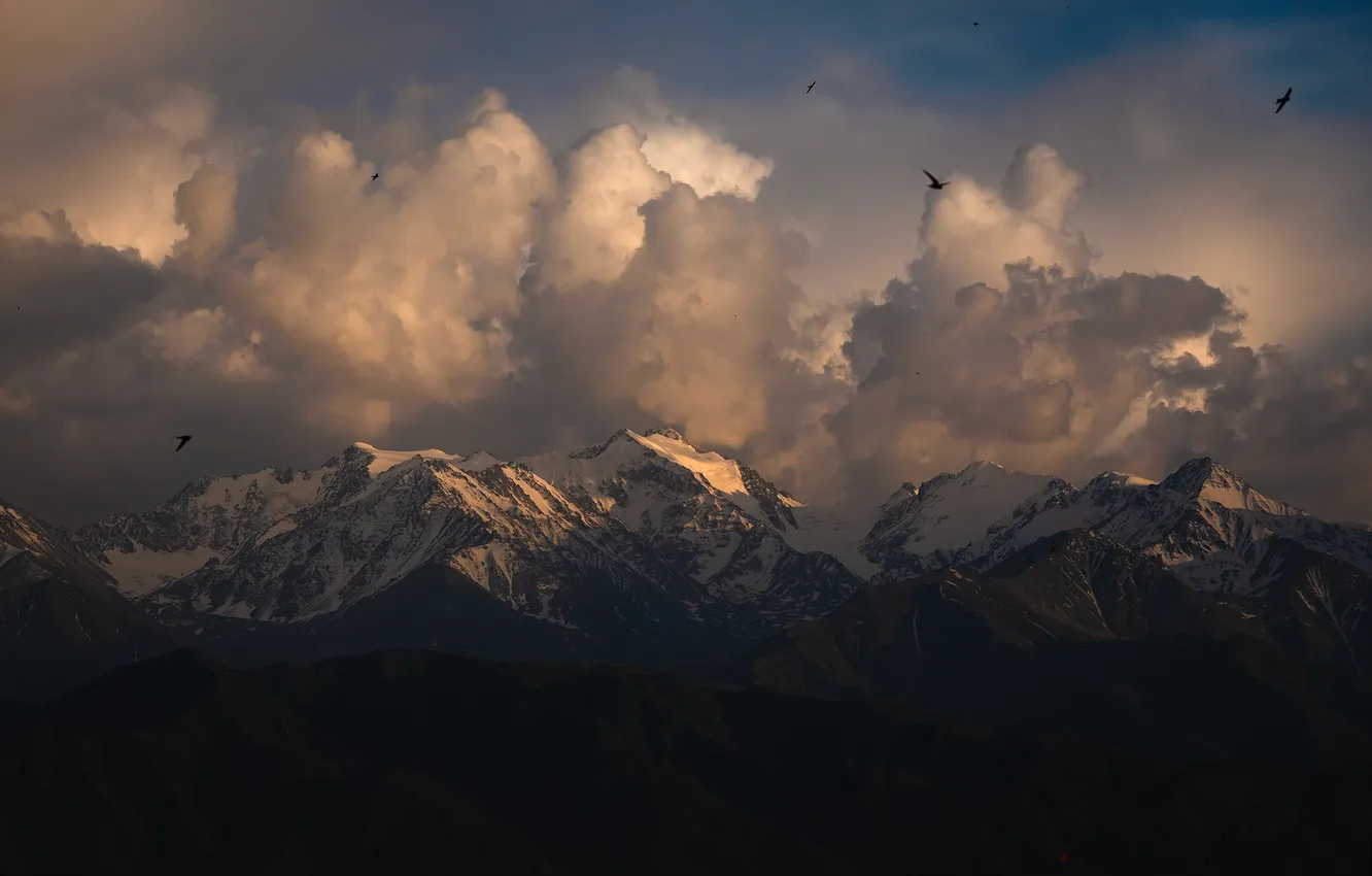 Photo wallpaper clouds, mountains, beauty, horizon, space, Elina Magalimova, Rebellion