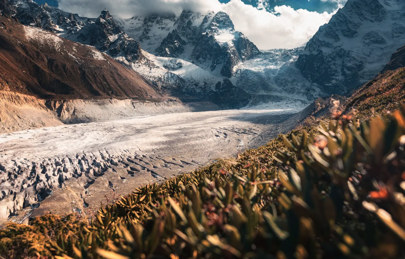 Photo wallpaper snow, mountains, vegetation