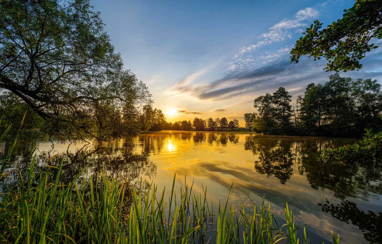 Photo wallpaper trees, sunset, river, Germany, Bayern, Germany, Bavaria, Kuntsdorf
